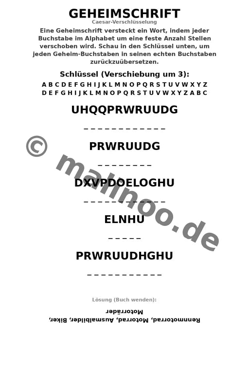 Motorräder – Bild 10