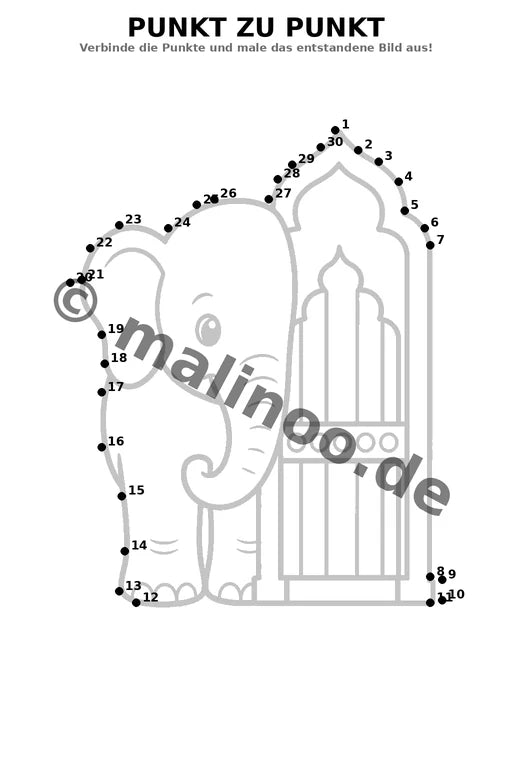 Elefanten – Bild 11