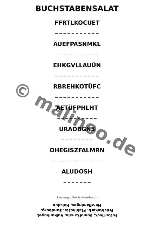 Flamingos – Bild 11
