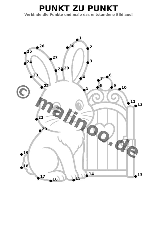 Hasen – Bild 11