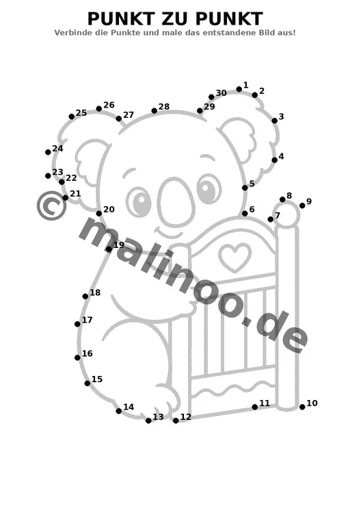 Koala's – Bild 11