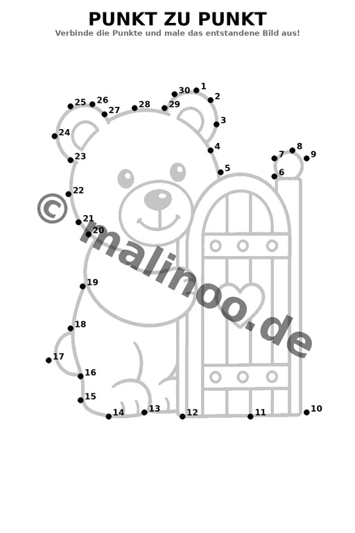 Bären – Bild 11