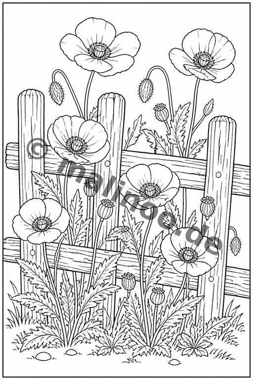 Blumen – Bild 11