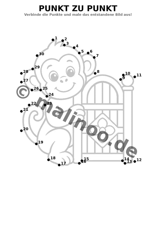 Esel – Bild 11