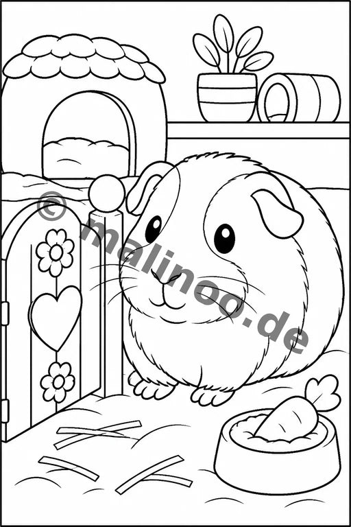 Meerschweinchen – Bild 11