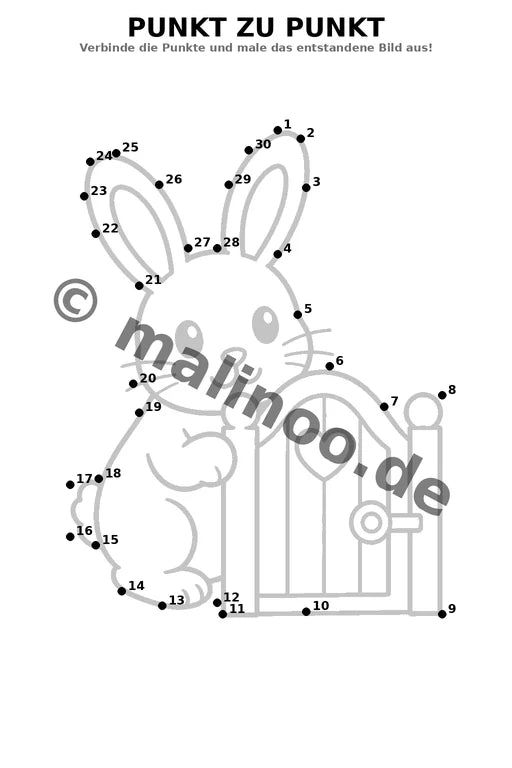 Hasen – Bild 11