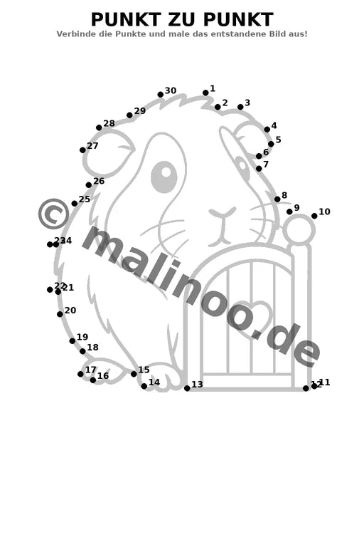 Meerschweinchen – Bild 11