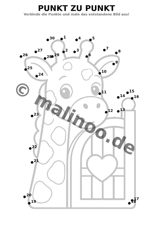 Giraffen – Bild 11