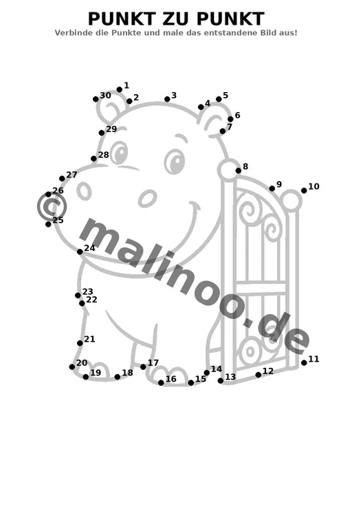 Flusspferde – Bild 11