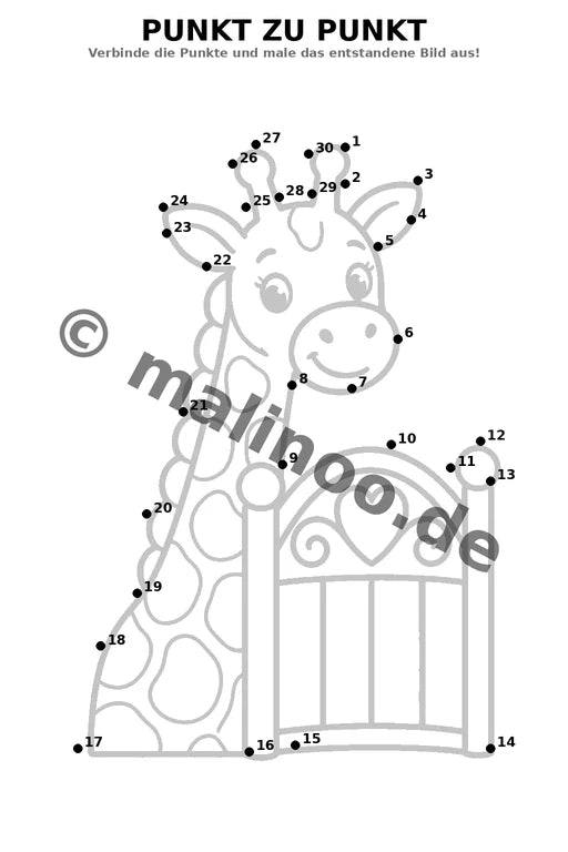 Giraffen – Bild 11
