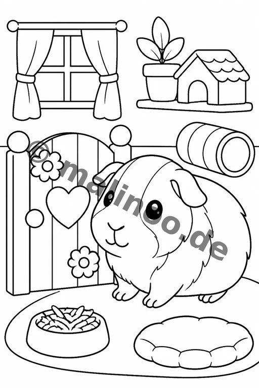 Meerschweinchen – Bild 11