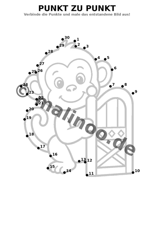 Esel – Bild 11