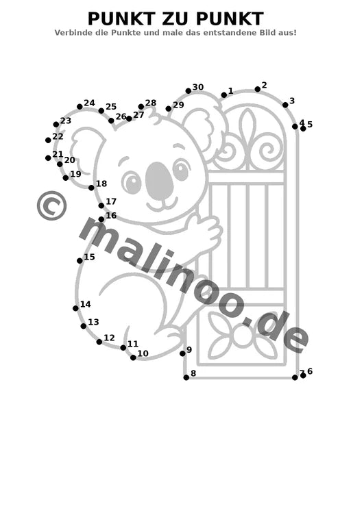 Koala's – Bild 11