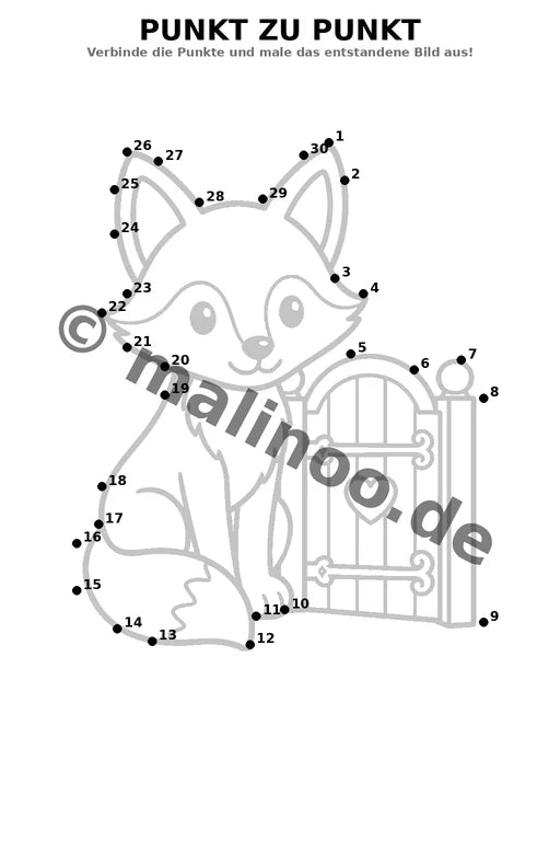 Füchse – Bild 11