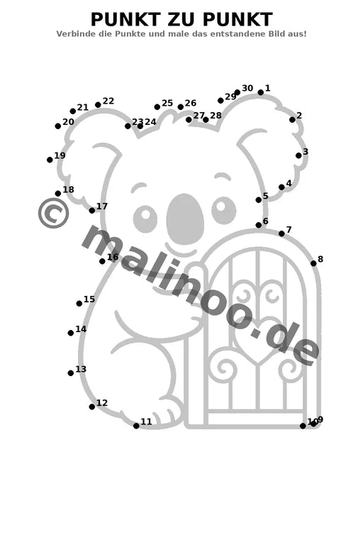 Koala's – Bild 11