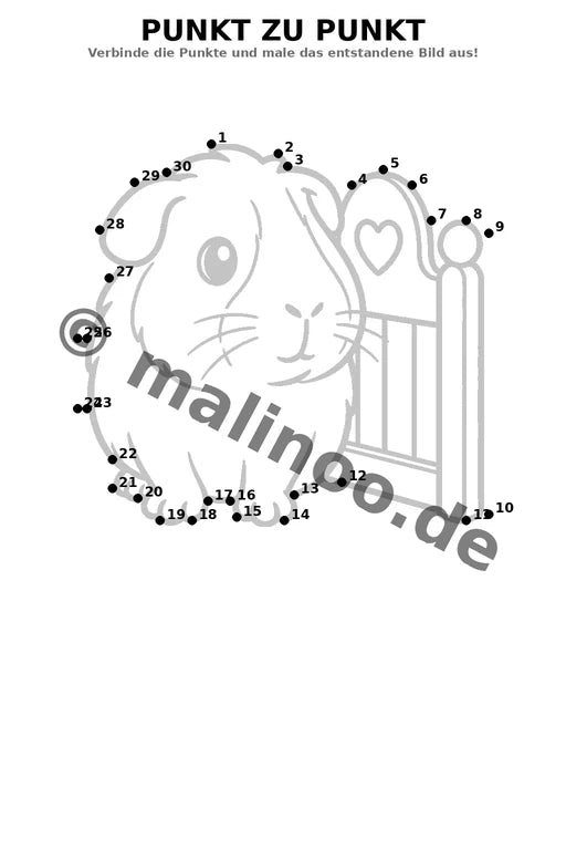 Meerschweinchen – Bild 11