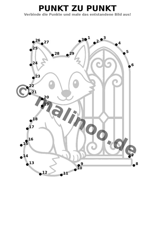 Füchse – Bild 11
