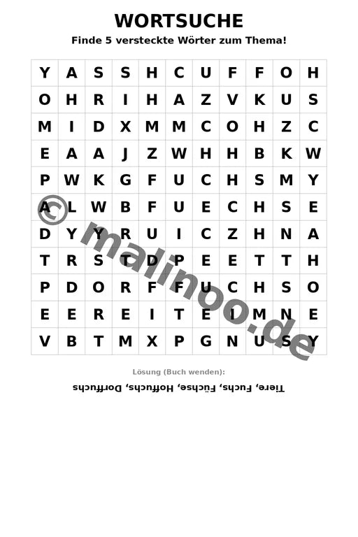 Füchse – Bild 11