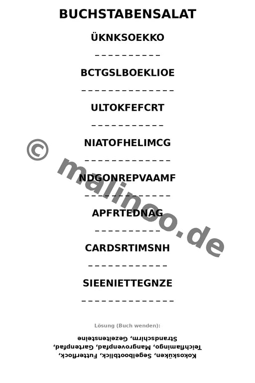 Flamingos – Bild 11
