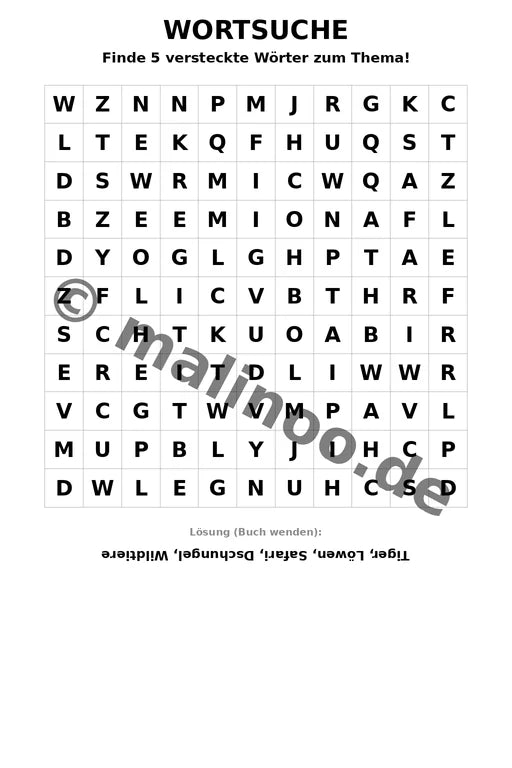 Löwen – Bild 11