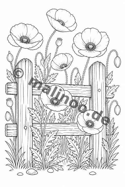Blumen – Bild 11