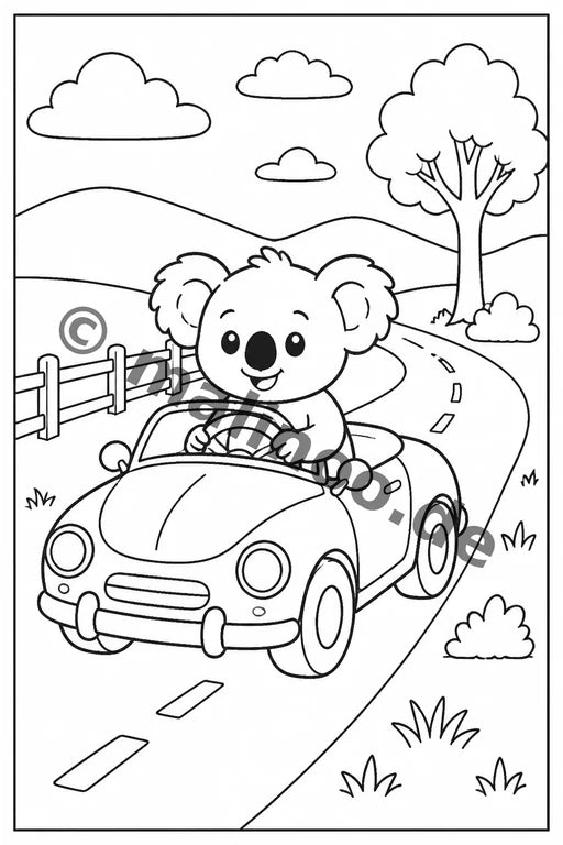 Koala's – Bild 12