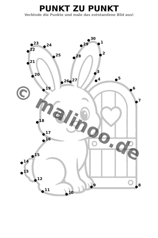 Hasen – Bild 12