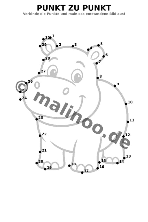 Flusspferde – Bild 12
