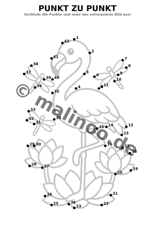 Flamingos – Bild 12