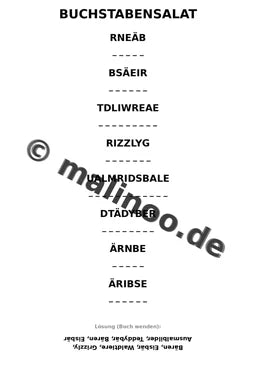 Bären – Bild 12
