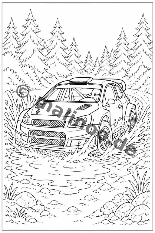 Rennwagen – Bild 12