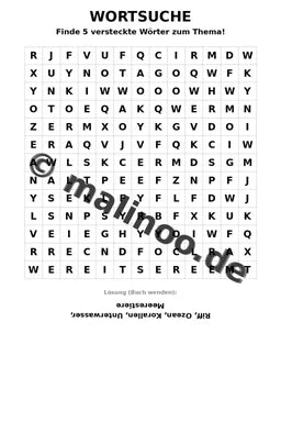 Korallenriffe – Bild 12