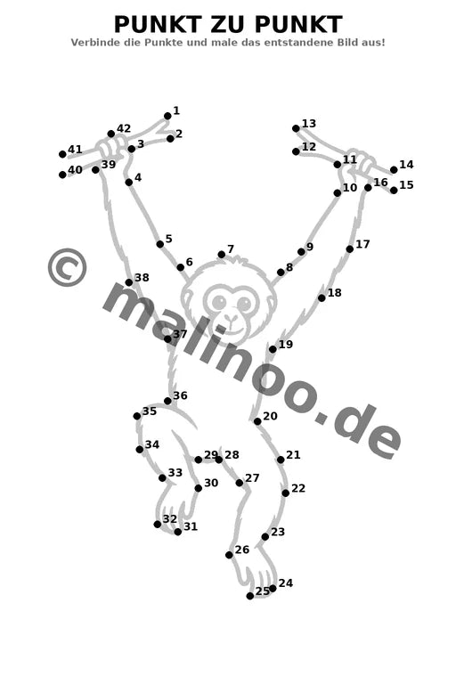 Affen – Bild 12