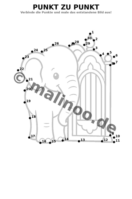 Elefanten – Bild 12
