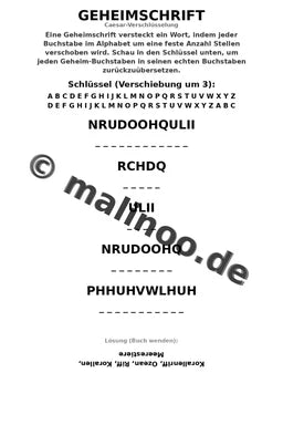 Korallenriffe – Bild 12