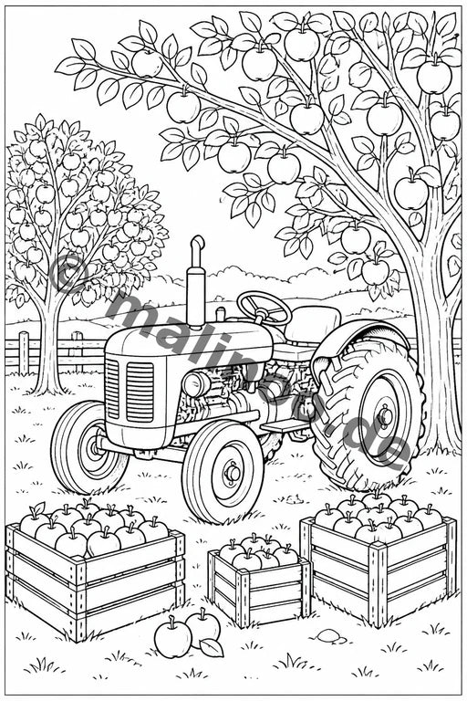Traktoren – Bild 12