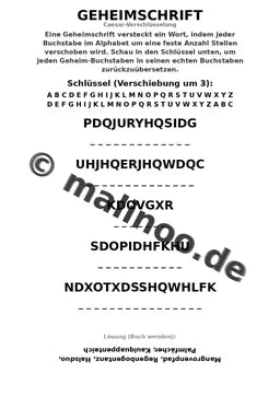 Flamingo – Bild 12