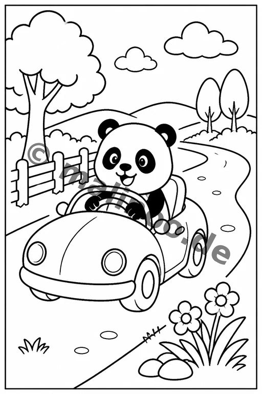Panda's – Bild 12