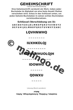 Schmetterlinge – Bild 12