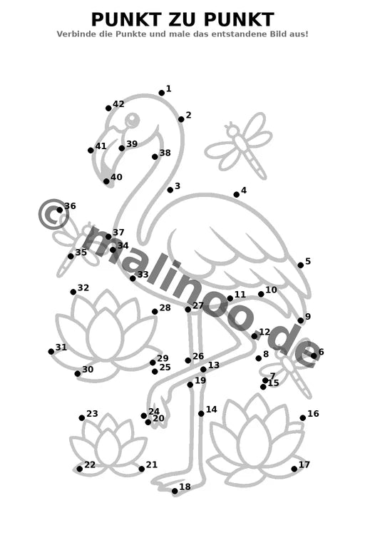 Flamingos – Bild 12