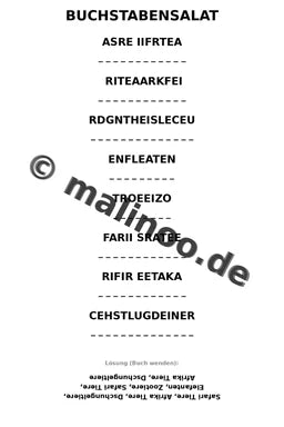 Elefanten – Bild 12