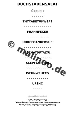 Füchse – Bild 12