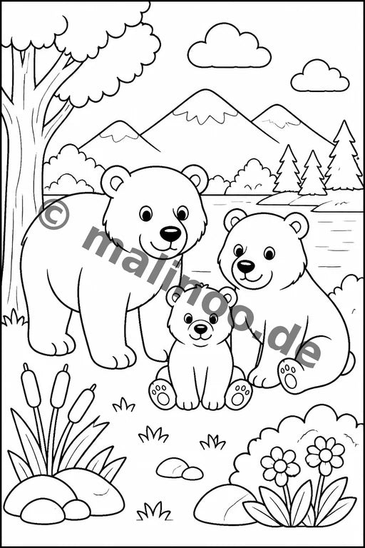 Bären – Bild 12