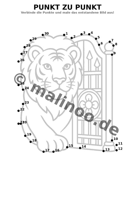 Löwen – Bild 12