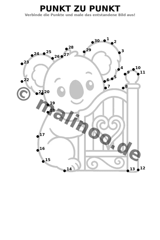 Koala's – Bild 12