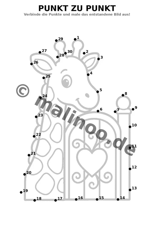Giraffen – Bild 12