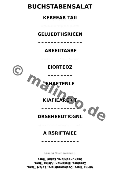 Elefanten – Bild 13