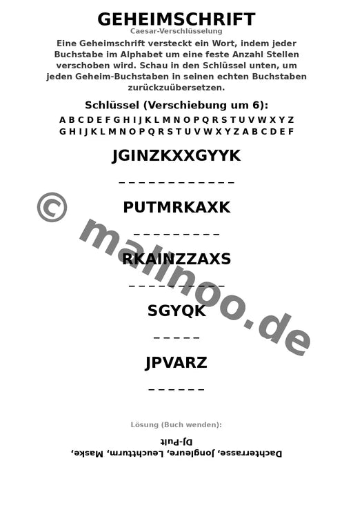 Silvester – Bild 13
