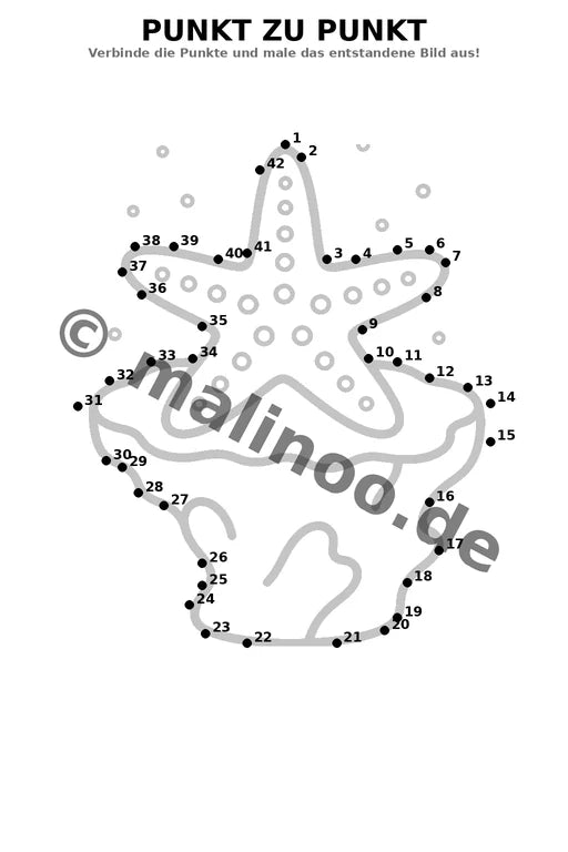 Korallenriffe – Bild 13