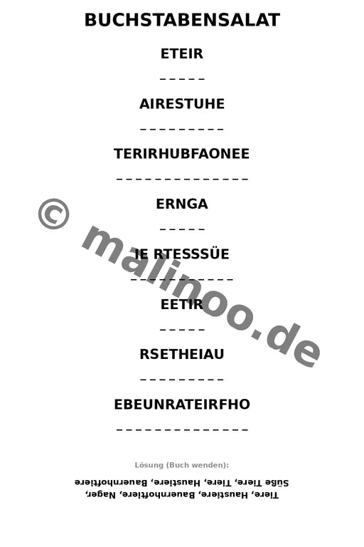 Meerschweinchen – Bild 13